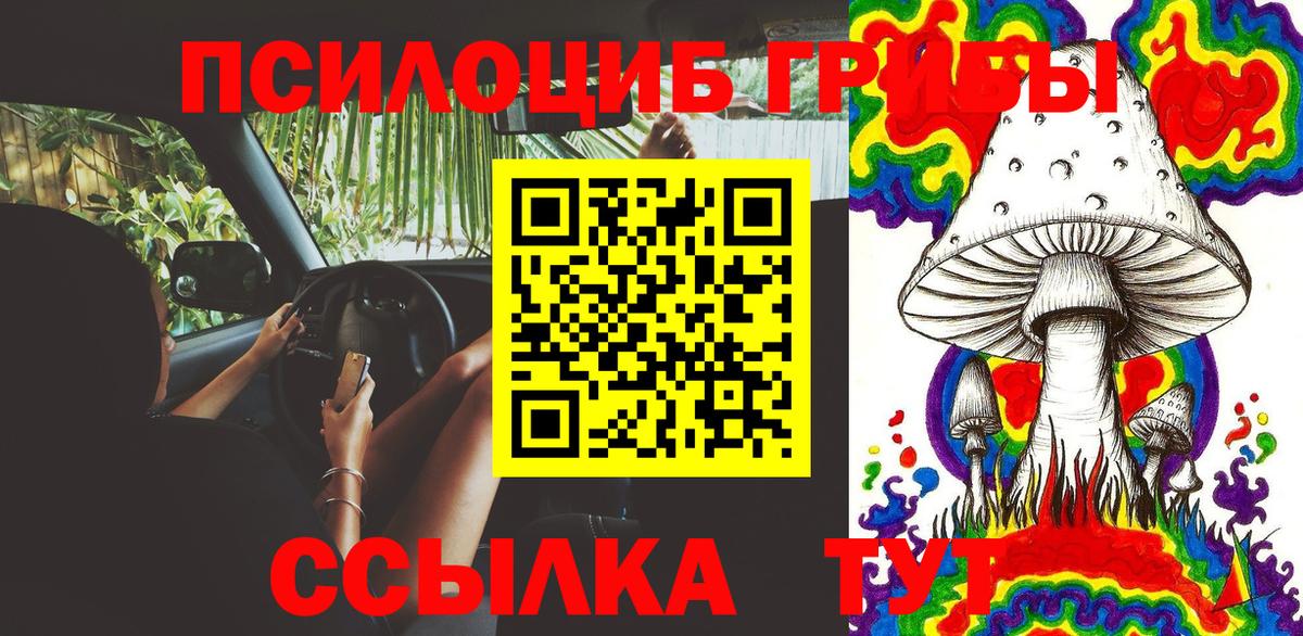 Галлюциногенные грибы ЛСД Рубцовск