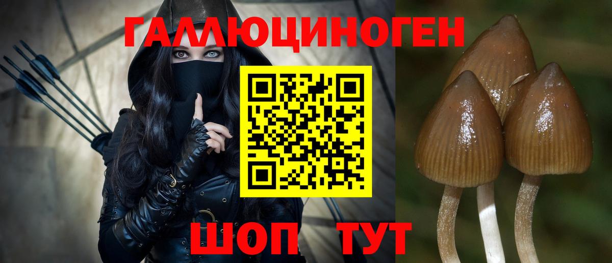 Галлюциногенные грибы Magic Shrooms  Вход с VPN  Рубцовск 