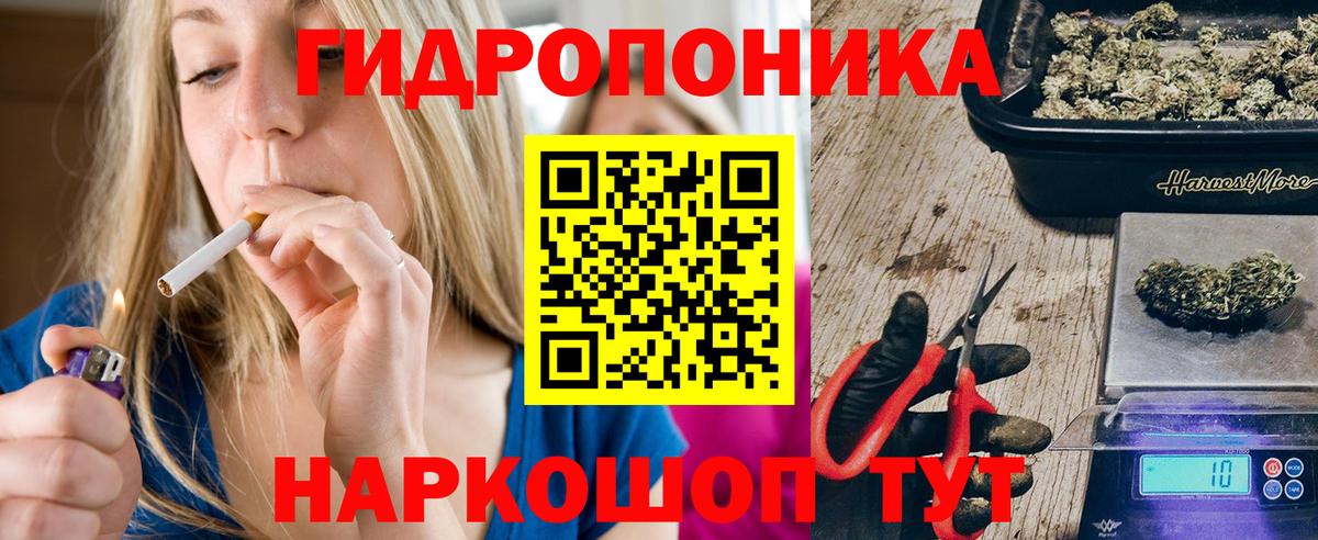 Бошки марихуана Ganja  Бошки марихуана ГИДРОПОН  Рубцовск  Вход с VPN  Канабис семена  Конопля VHQ 